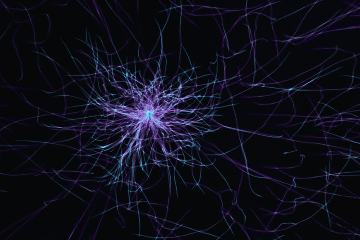 AI / Machine Learning
